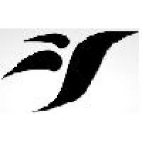 Fidelite Techno Advisory Private Limited Fidelite Techno Advisory Private Limited