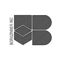Borgzinner Inc