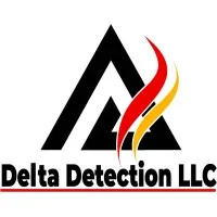 Delta Detection, LLC