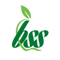 BSSCO