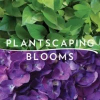 Plantscaping & Blooms Plantscaping & Blooms