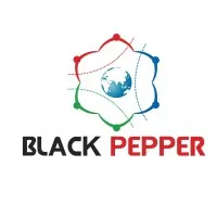 BlackPepper Technologies Pvt Ltd