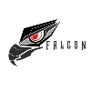 Team Falcon Team Falcon
