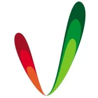 Vibiz Media Network