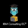 IBM Consulting IBM Consulting