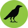 TOLM Group TOLM Group