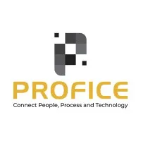 Profice Consulting Ltd