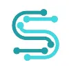 Silicon Synapses Silicon Synapses