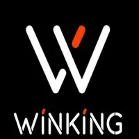 Winking Semiconductor Winking Semiconductor