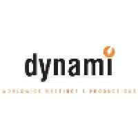 dynami group