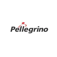 Pellegrino Autopeças e Motopeças