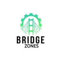 Bridge Zones Inc Bridge Zones Inc