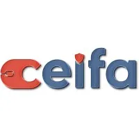 Ceifa IT Services