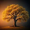 test test