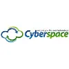 Cyberspace Networking Systems Pvt Ltd