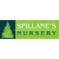 Spillane's Nursery and Landscape Co.,Inc. Spillane's Nursery and Landscape Co.,Inc.
