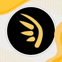 Grupo Icarus S.A. de C.V.