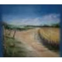 Baltimore Bend Vineyard