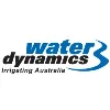 Water Dynamics