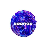 Sponge Digital Marketing Agency