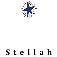 Stellon Park Inc.