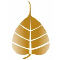 BIO RESURGE LIFE COACHING HEALTH SERVICES PRIVATE LIMITED