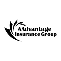 AAdvantage Insurance Group AAdvantage Insurance Group
