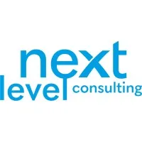 next level consulting