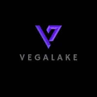 VegaLake Inc