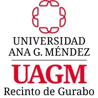 Universidad del Turabo email format