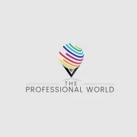The Professional World The Professional World