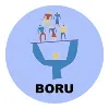Boru Inc. Boru Inc.
