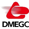 DMEGC New Energy Battery - Hengdian Group DMEGC New Energy Battery - Hengdian Group