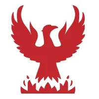 Phoenix Display International