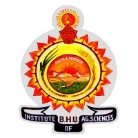 Training and Placement cell, IAS