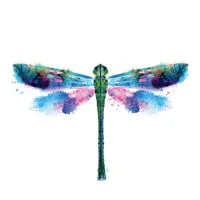 Renegade Digital Media Inc.