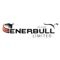 Enerbull Limited Enerbull Limited