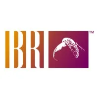 BRI Associates (BRI, LLC)