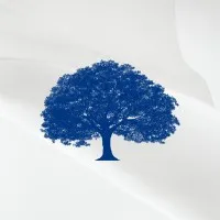 TIMENI Gestão | Sucessão Familiar TIMENI Gestão | Sucessão Familiar