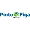 Pinto Piga Seeds Pinto Piga Seeds
