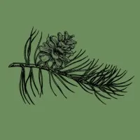 The Fields Group LLC