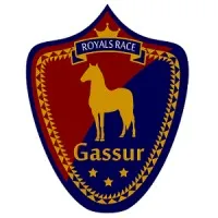 Gassur