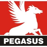 Pegasus Farmaco India Pvt Ltd