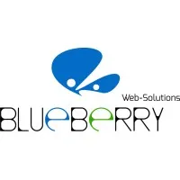 blueberry web solutions pvt ltd