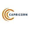 Capricorn Diversified Systems