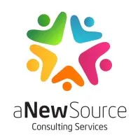 aNewSource Consulting Services