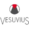 Vesuvius Flow Control Digital Services