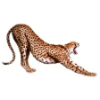 AdGraphics