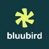 Bluubird Bluubird