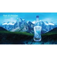 Hansen Beverage Company